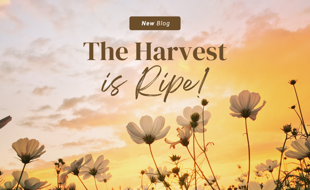 It's Harvest Time A Word for 2025! Leif Hetland