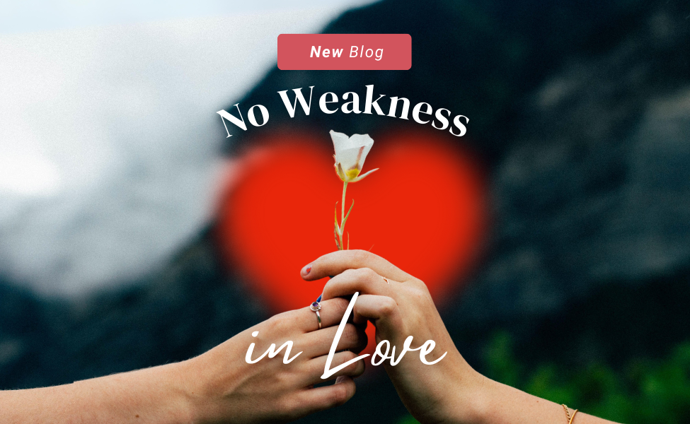 Blog - No Weakness in Love - 650x400