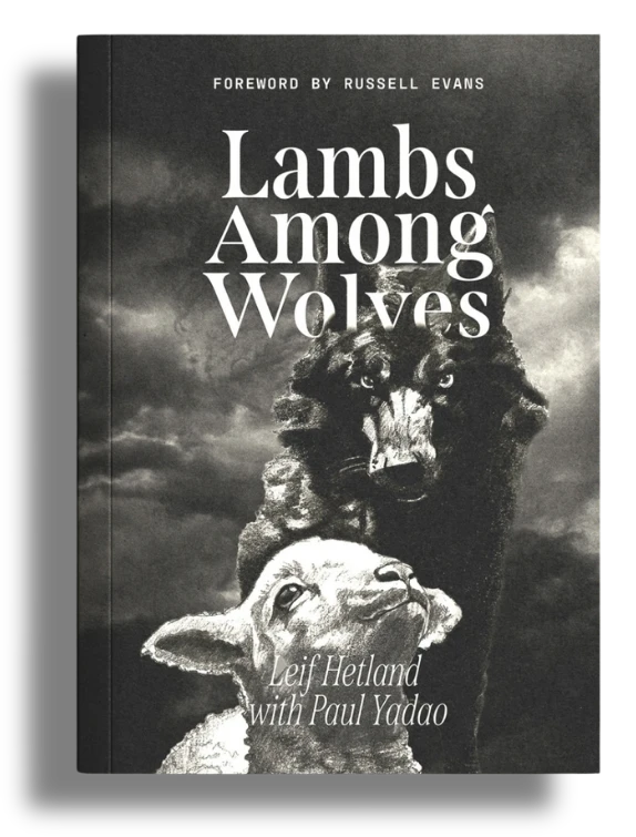 Hero_Banner_Landing_Page_LHM_Lambs_Among_Wolves_Graphics_Design_2